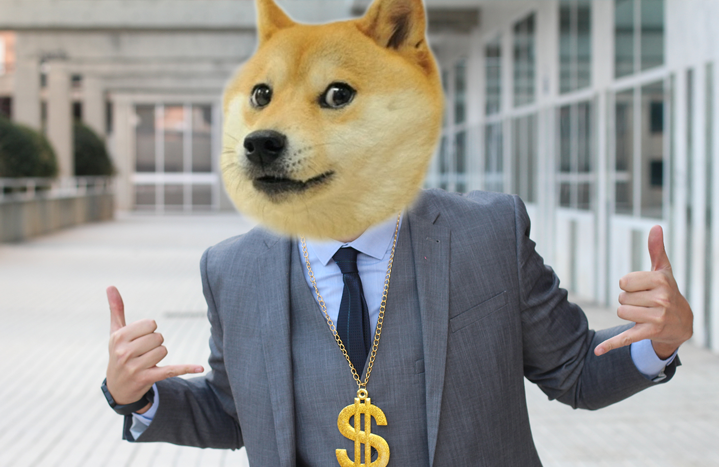 buying doge